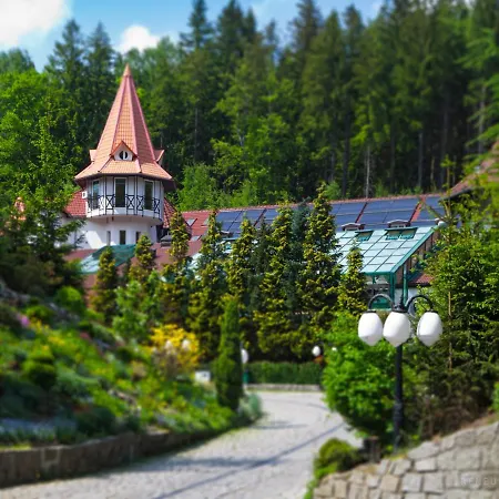 Las Piechowice (Karkonosze)