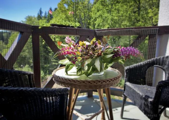 ホテル Hotel Las Piechowice 2*